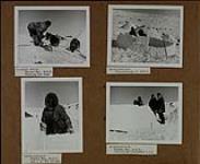 Feeding the dogs ; Constructing an igloo ; Inuk man constructing an igloo ; Inspecting the completed igloo 1953.