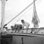 [Three men on a cargo ship, Kinngait, Nunavut] 1960