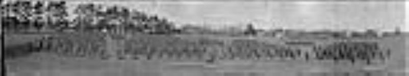 122nd Muskoka Overseas Battalion, C.E.F,. Victoria Park, Lt-Col D.M. Grant O.C April 9, 1917