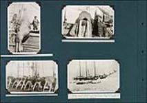 Hoisting dead walrus on deck ; St. Lawrence Island Inuk man and large walrus head on deck ; Some heads of walrus ; M.S. "Herman" at St. Lawrence Island [Between 1914-1935].