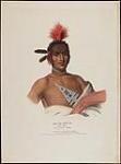 Noa-Na-Hon-Ga, Great Walker (Ioway [sic] Chief 1837