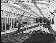 Int of Brechtel-Price-Callahan Warehouse no 2 being built at Canol Camp September 14 1942.
