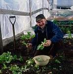 Roman Catholic priest [Father Joannes Rivoire] in a greenhouse, Arviat 1979.