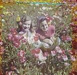 Two women in a field of poppies near Lake Louise, Banff National Park, Alberta 1951