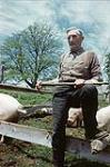 Almon Boswall, breeder of Woodstock purebred swine, Charlottetown, Prince Edward Island  [Almon Boswall, un éleveur de porcs de race Woodstock, à Charlottetown, à l'Île-du-Prince-Édouard] 1952