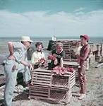 Two men, two women and small child standing beside lobster traps, Fundy National Park, New Brunswick July 1953