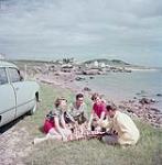 Two men and two women picnic on the grass beside the beach, Maritimes July 1953
