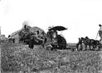 Threshing on C. Sissons' Ranch. Portage La Prairie, Man 1900-1910