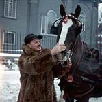 Homme vêtu d'un manteau de fourrure avec son cheval, ville de Québec [between 1955-1963]