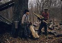 Fermier et son fils ramassant du bois pour la cabane à sucre, Cap-Tourmente, Québec [between 1955-1963]