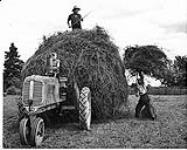 Two men loading hay onto a rack to be drawn by tractor [entre 1930-1960]