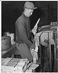 Un jeune homme ensache des pommes de terre [entre 1930-1960]