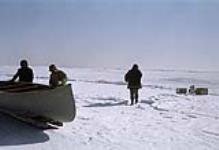 Seal hunting, arriving flow edge [between 18 April-3 May 1962]