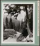 Warden's Cabin and the Swiss Peaks - Glacier National Park, B.C. [Entre 1930 et 1960].