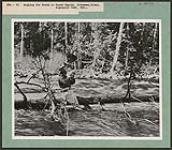Man fishing for trout in the Petawawa River, Algonquin Park [Entre 1930 et 1960].