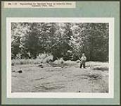 Fly-casting for speckled trout in Lavielle Creek, Algonquin Park, Ont. [Entre 1930 et 1960].