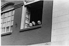 Trois hommes à la fenêtre de l'Association Hum 1976