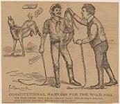Constitutional Harness for the Wild Nag 1899.