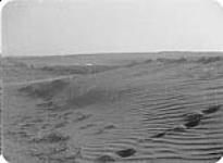 Saskatchewan dry belt during the Depression 1930-1934.