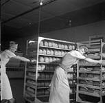 Eddy Funk et Jakie Wiebe travaillant à la boulangerie Don's Bakery, Steinbach, Manitoba 1 juin 1956.