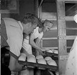Eddy Funk et Jakie Wiebe travaillant à la boulangerie Don's Bakery, Steinbach, Manitoba June 1, 1956.