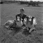 Garçon nommé Chester avec deux colleys à poil long, Eston (Saskatchewan) August 9, 1954.