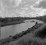 Person Sitting on River Bank, Manitoba 1954
