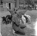 Femme s'agenouillant au zoo des enfants, parc Stanley, Vancouver, Colombie-Britannique [ca1954-1963]