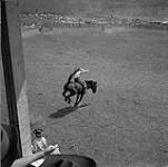 Cowboy on Bucking Bronco, Stampede, Williams Lake, British Columbia [ca1954-1963]
