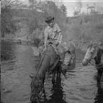 Cow-boy sur cheval dans l'eau, randonneurs, William Lake, Colombie-Britannique [ca.1954-1963]