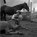 Jeannie pets her buckskin foal, Trail Riders, Williams Lake, British Columbia [ca1954-1963]