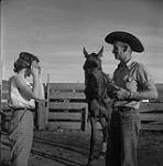 Cowboy and Lady With Horse, Trail Riders, William Lake, British Columbia [ca1954-1963]