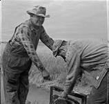 Deux fermiers au travail [ca.1954-1963]