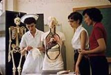 Deux étudiantes autochtones [Dorothy Visser et Barbara Bigplume, de Saddle Lake, AB] en soins infirmiers et une infirmière examinant un mannequin médical à Calgary (Alberta) 1954-1962.