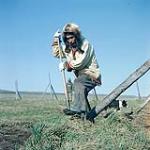 Man digging with a shovel in the grass. Arctic / Northern Canada [entre 17 juin-31 octobre, 1960].