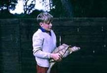 Young boy holding a turtle. Channel Island Zoo. Jersey [ca. 1953-1964]