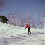 Woman skiing down slope at Mont-Tremblant, Laurentians, Quebec février 1961