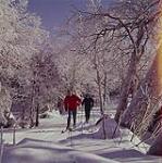 Man and woman skiing at Mont-Tremblant, Laurentians, Quebec [Homme et femme skiant au Mont-Tremblant, dans les Laurentides, au Québec] février 1961