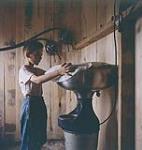 A farm boy inside the barn while handling milk separator on his father's farm. Yamachiche, Québec.  1957