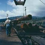 A man supervising a log being lowered onto a rail car. Vancouver, B.C. septembre 1958