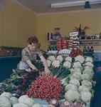 An example of a small roadside market in the Holland Marsh area. In the photograph a young lady arranges the products on display. Holland Marsh, Ontario.    1957