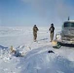 Ice fishermen on Lake Manitoba pulling the net out of the hole across the ice to remove the fish. [Deux hommes tirant un filet de pêche d'un trou dans la glace au lac Manitoba.] février 1961.