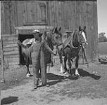 Farmer with two horses, 1953-1954 [ca. 1953-1954]