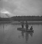 Jack Miner, bernaches, trois personnes dans une barque [entre 1939-1951].