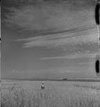 Saskatoon et blé, fermier non identifié à l'extérieur de sa grange [between 1939-1951].