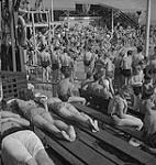 Toronto, view of sunbathers and very busy swimming pool [entre 1939-1951].