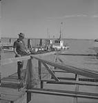 Vancouver.  Unidentified Woman Man Pulling in Fishing Net on Docks [entre 1939-1951]