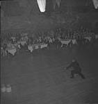 Vancouver.  Large Group Watching Unidentified Performer at The Cave Supper Club [entre 1939-1951]
