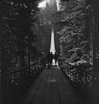 Vancouver. Unidentified Group Walking on the Capilano Suspension Bridge [between 1939-1951]