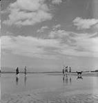 Vancouver. Unidentified People Walking During Low Tide [between 1939-1951]